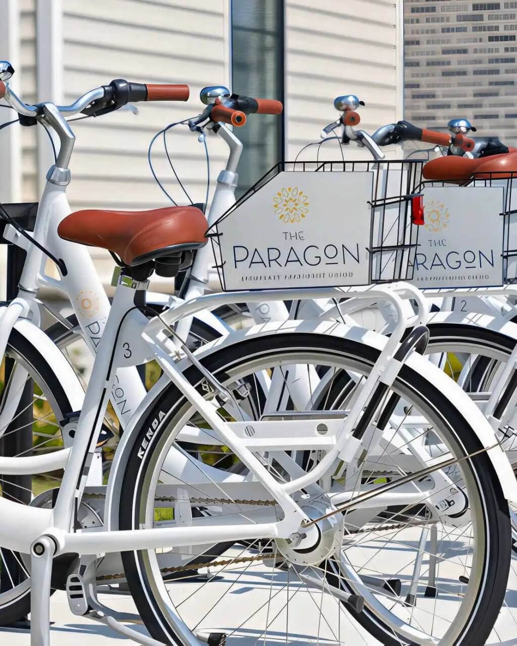 the paragon bike share